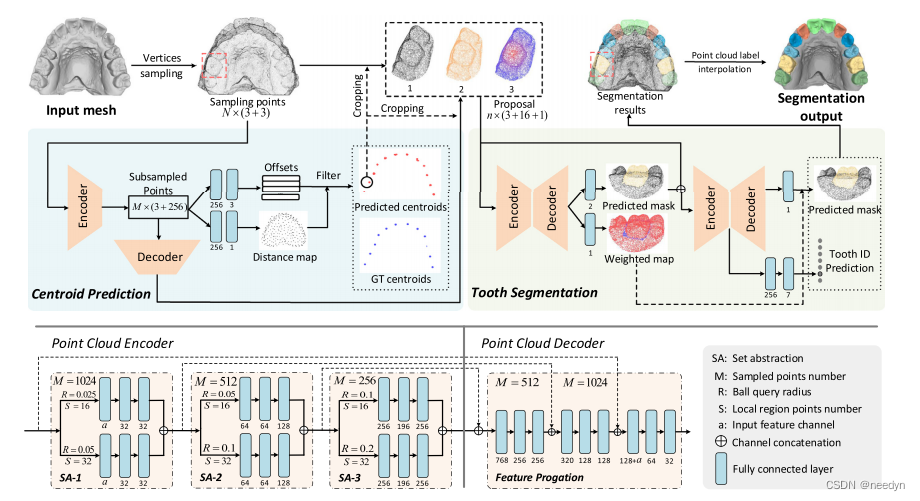牙齿分割结果展示
